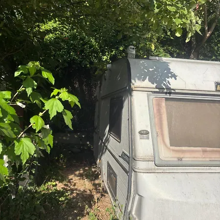 Rulota Zen אתר קמפינג בוקרשט