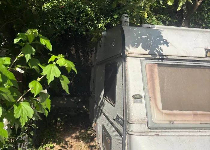 Rulota Zen Campingplatz Bukarest